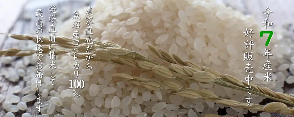 農事組合法人光オンラインショップ